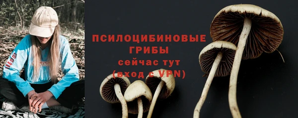 spice Абинск