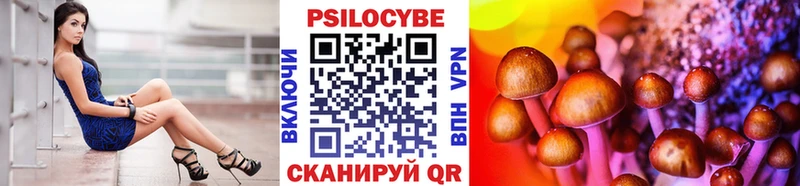 Псилоцибиновые грибы мицелий  blacksprut   Шебекино 